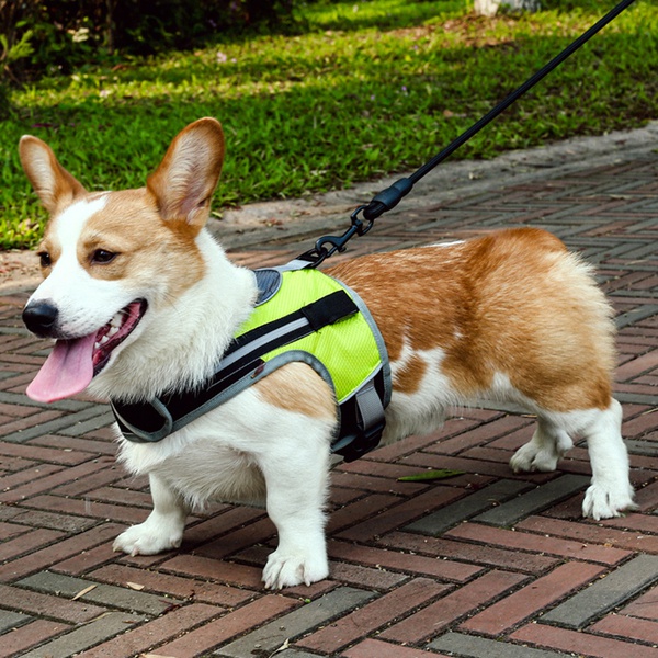 Dog Harness (2 styles, with light and without light)